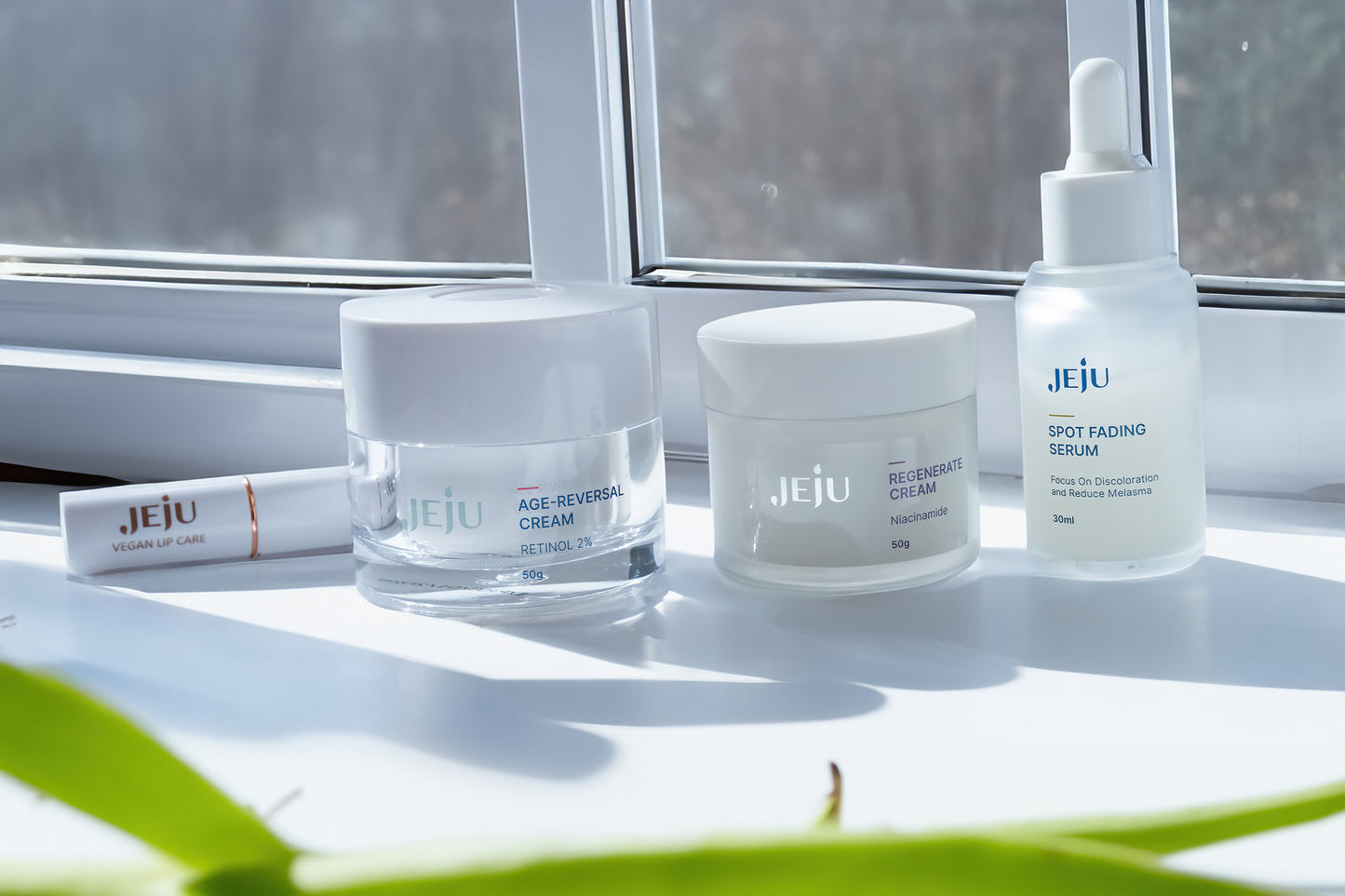JEJU Essential Skincare Set