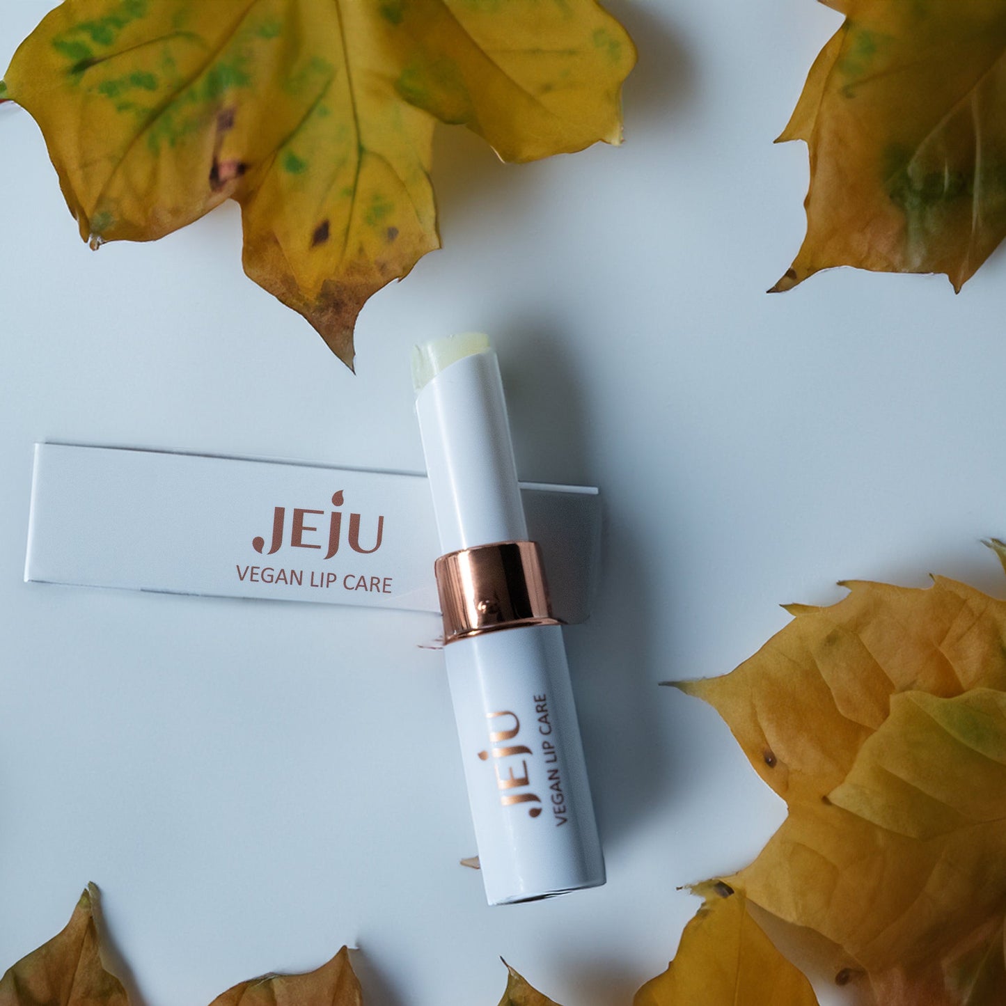 Vegan Lips Moisturizer